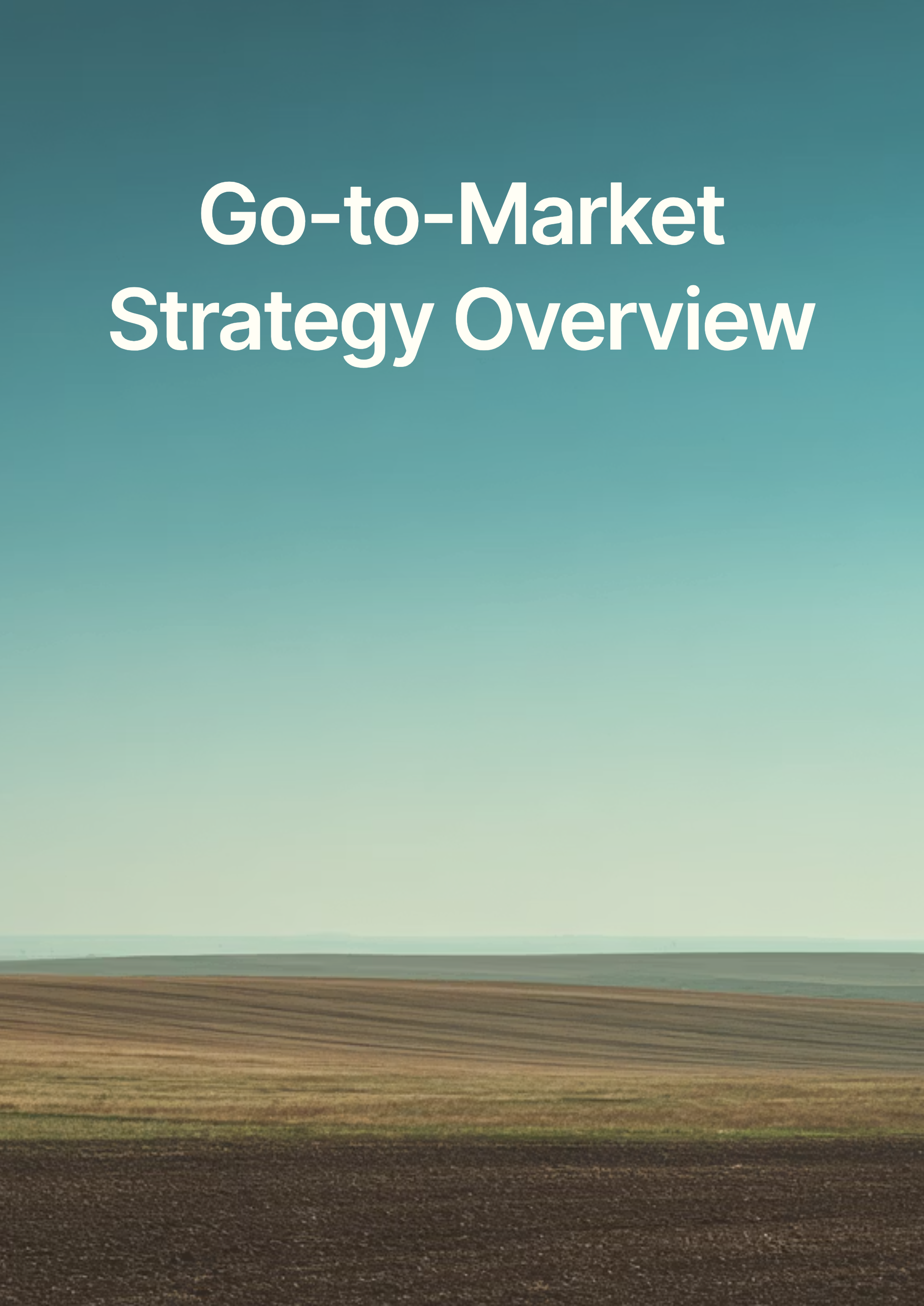 Go-to-Market Strategy Overview